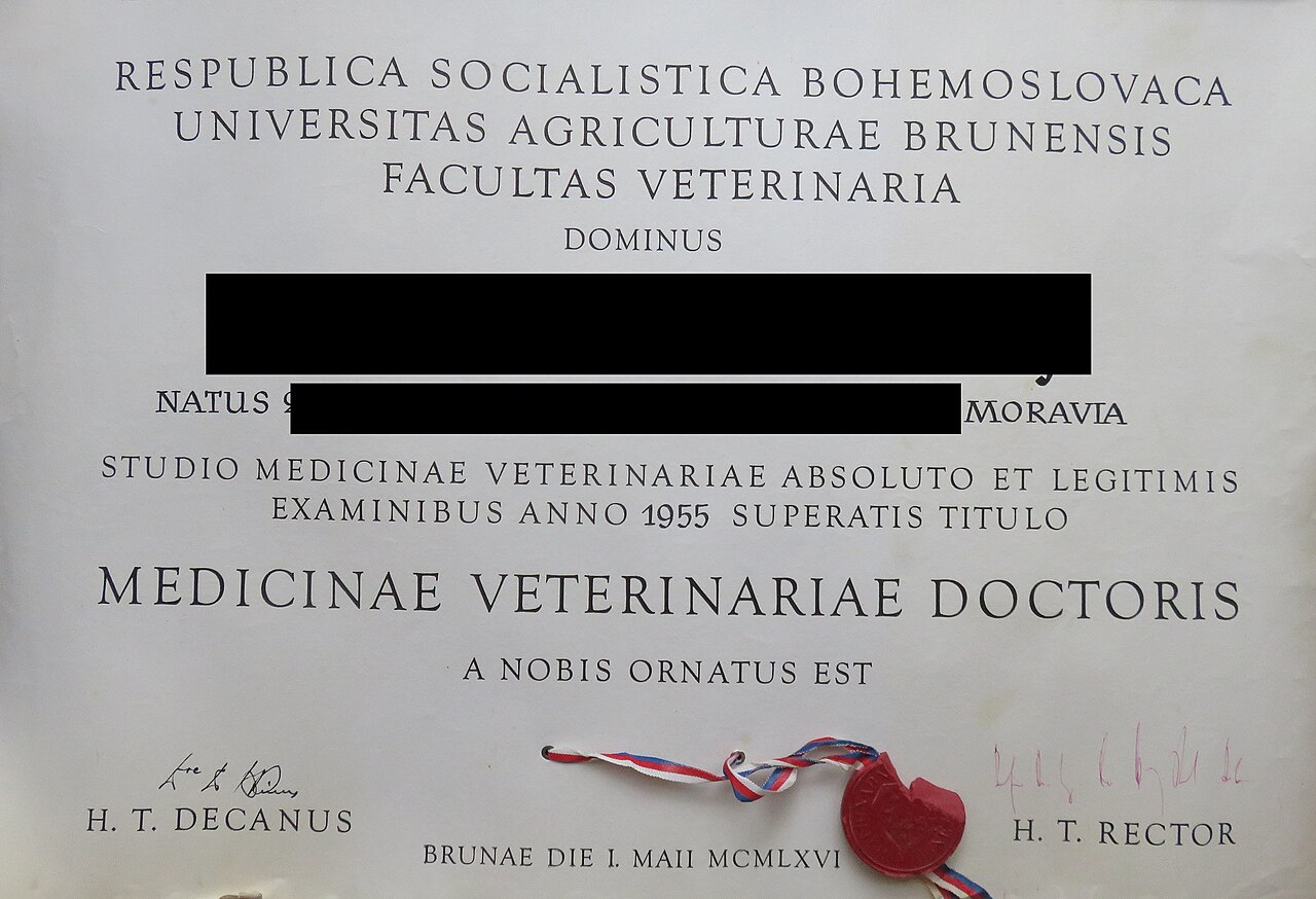 Kırıkkale Diyetisyen ile Beslenme Uzmanı Farkı Nedir? Unvan, Eğitim, Online Diyetisyen ve Diyetisyen Fiyatları Rehberi